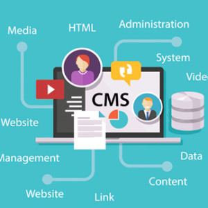 CMS