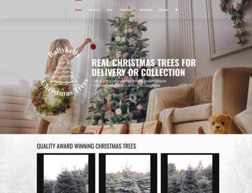 Ballykelly Christmas Trees